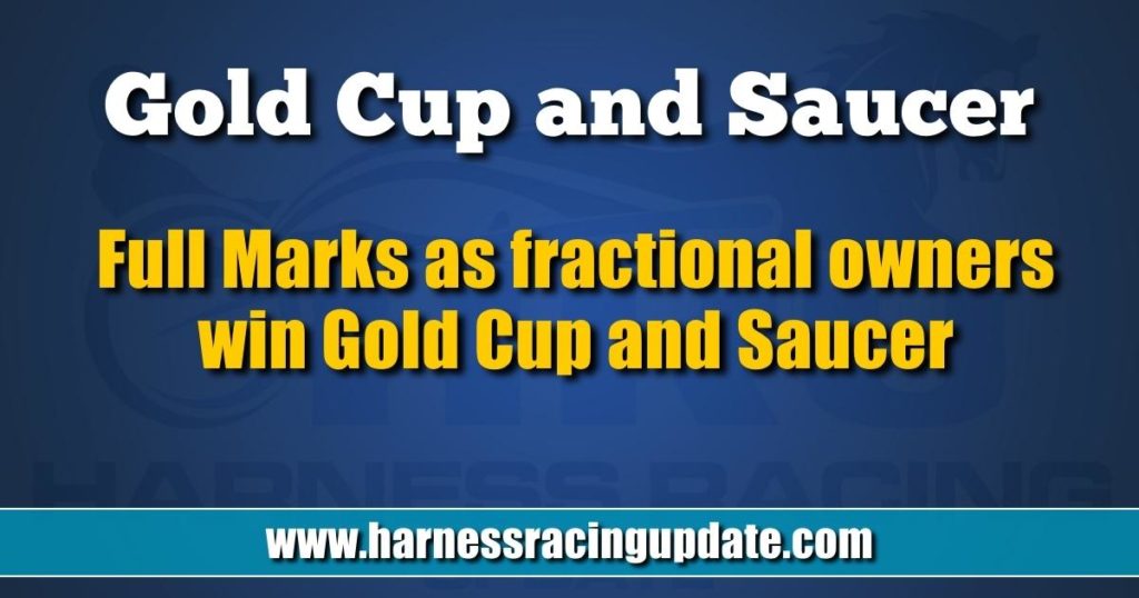 Full Marks as fractional owners win Gold Cup and Saucer