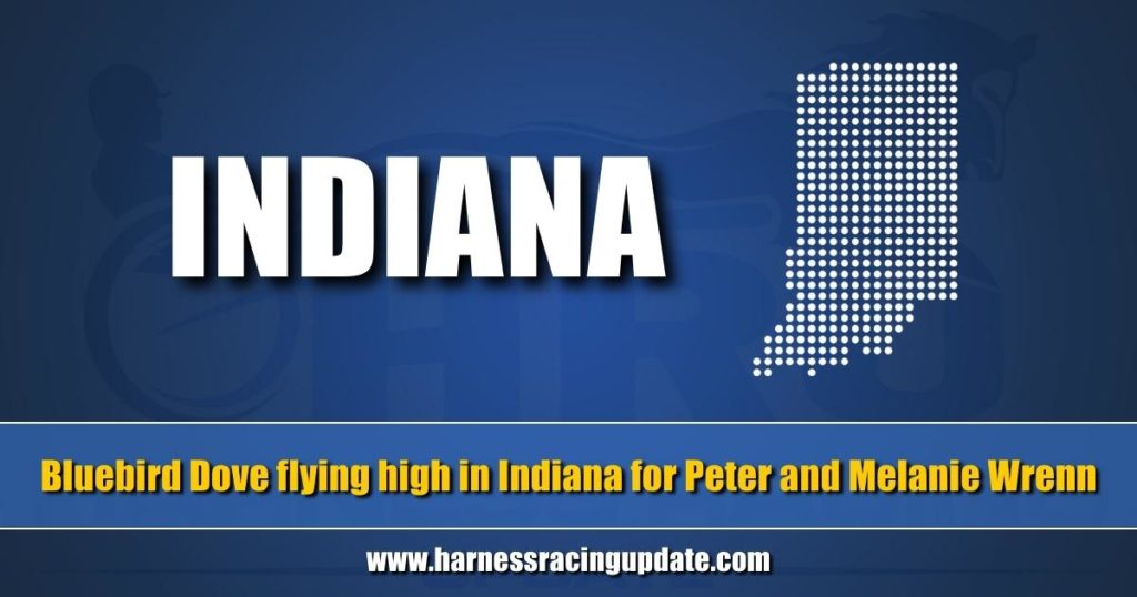 Bluebird Dove flying high in Indiana for Peter and Melanie Wrenn