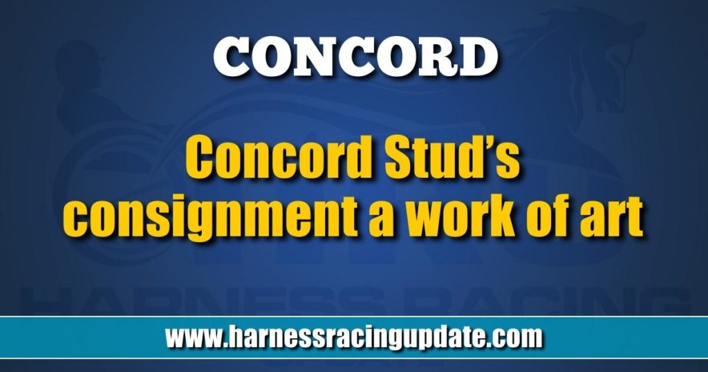 Concord Stud’s consignment a work of art