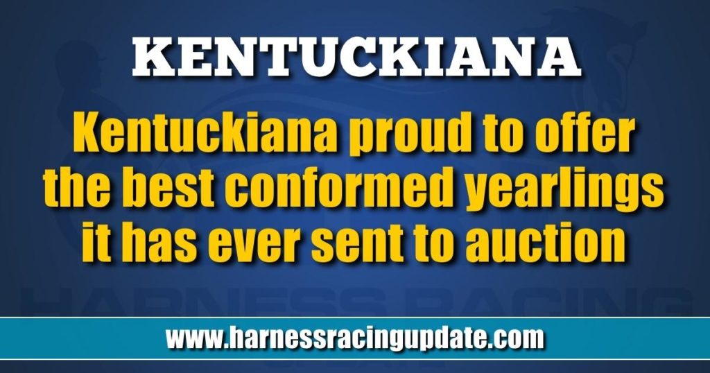 Kentuckiana proud to offer the best conformed yearlings it has ever sent to auction