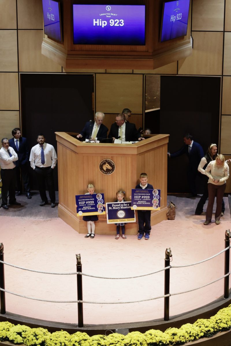 Lexington Mixed Sale grosses over 2.7 million Harness Racing Update Lexington Mixed Sale grosses over 2.7 million Harness Racing Update