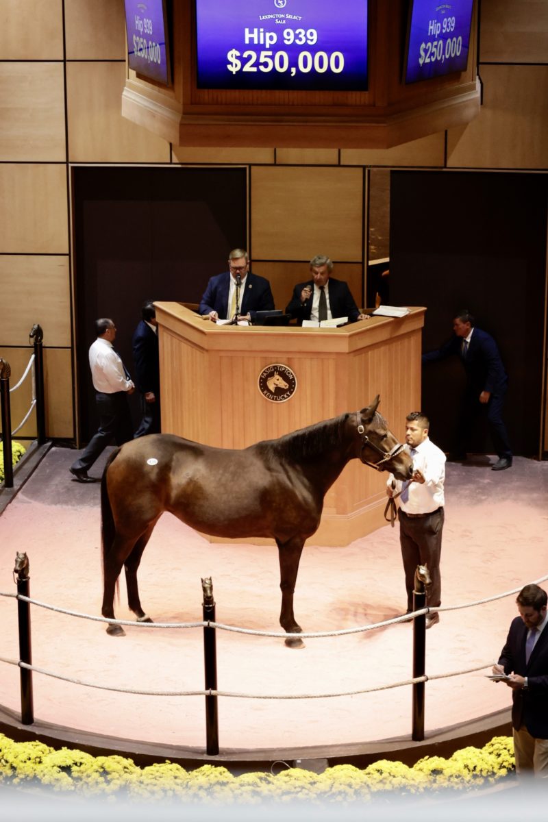 Lexington Mixed Sale grosses over 2.7 million Harness Racing Update