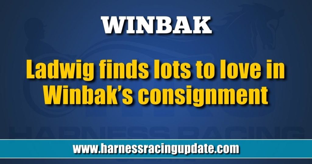 Ladwig finds lots to love in Winbak’s consignment