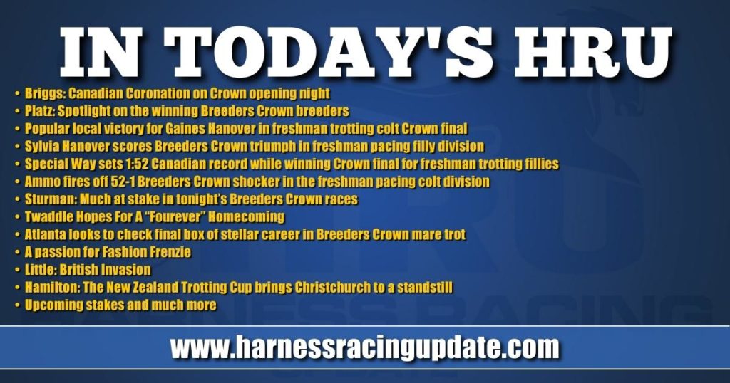 The New Zealand Trotting Cup brings Christchurch to a standstill The New Zealand Trotting Cup brings Christchurch to a standstill
