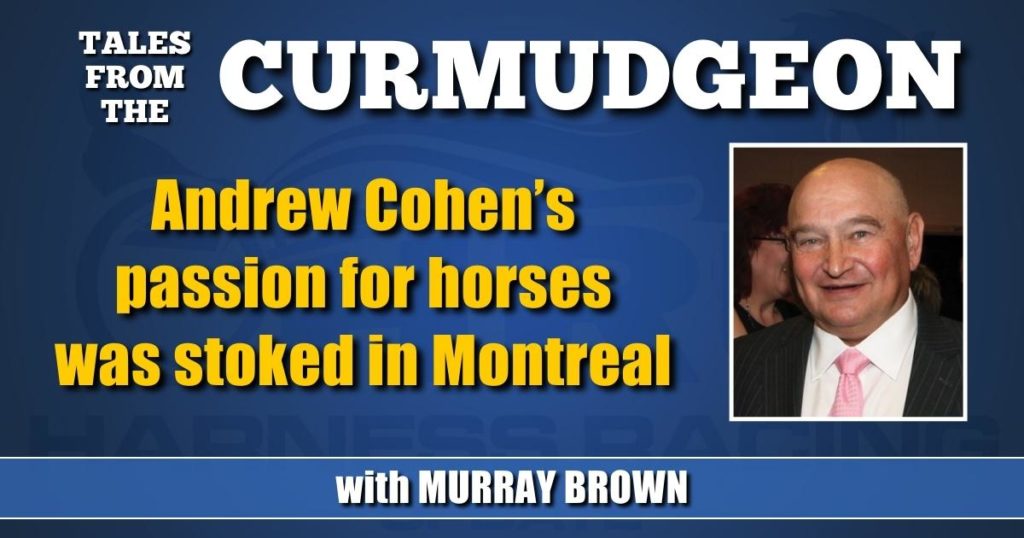 Andrew Cohen’s passion for horses was stoked in Montreal