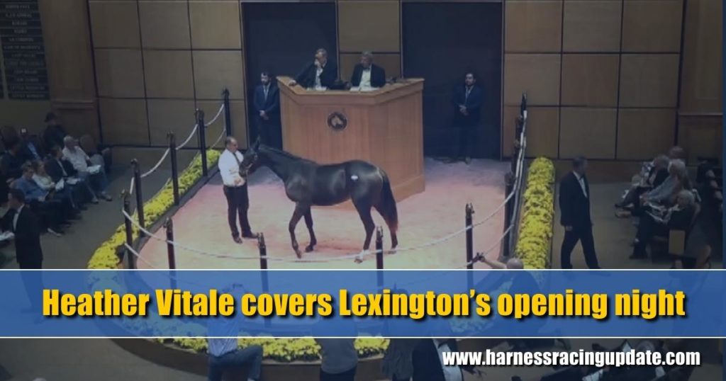 Heather Vitale covers Lexington’s opening night