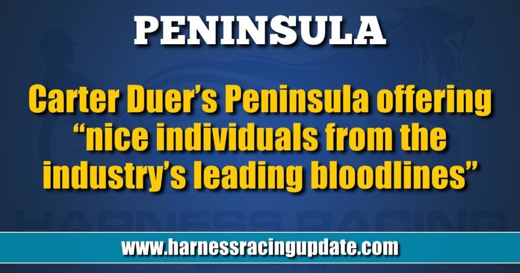 Carter Duer’s Peninsula offering “nice individuals from the industry’s leading bloodlines”
