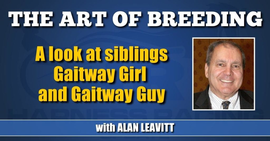 A look at siblings Gaitway Girl and Gaitway Guy