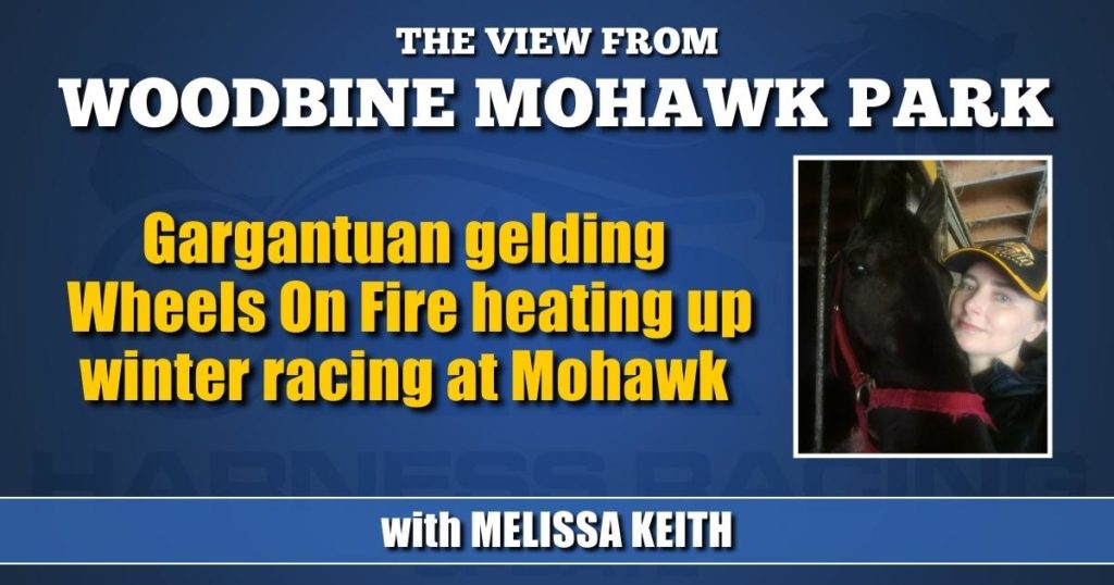 Gargantuan gelding Wheels On Fire heating up winter racing at Mohawk