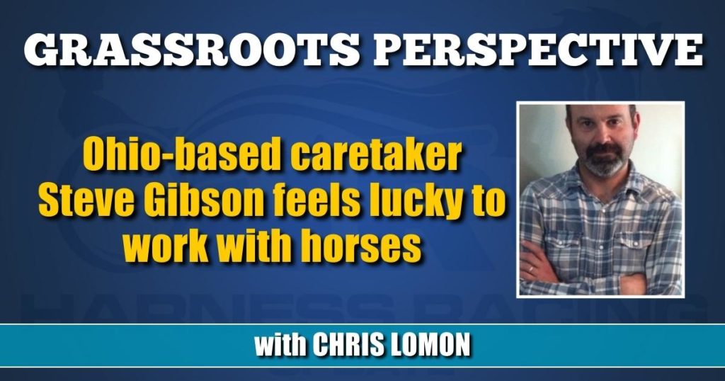Ohio-based caretaker Steve Gibson feels lucky to work with horses