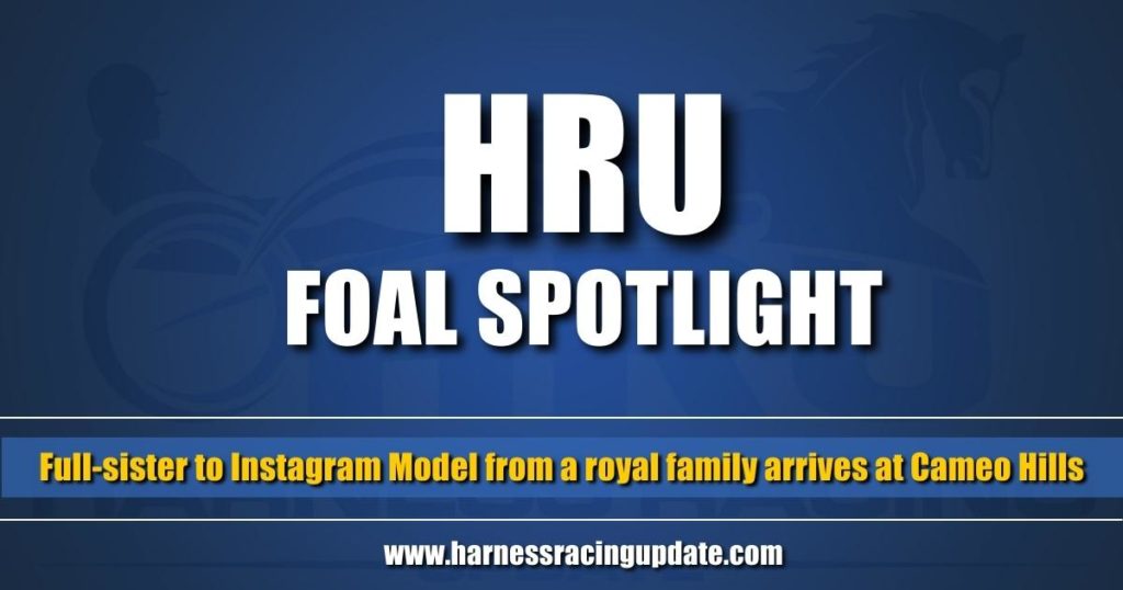 Full-sister to Instagram Model from a royal family arrives at Cameo Hills Full-sister to Instagram Model from a royal family arrives at Cameo Hills