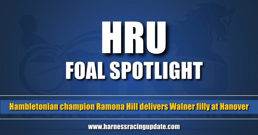 Hambletonian champion Ramona Hill delivers Walner filly at Hanover