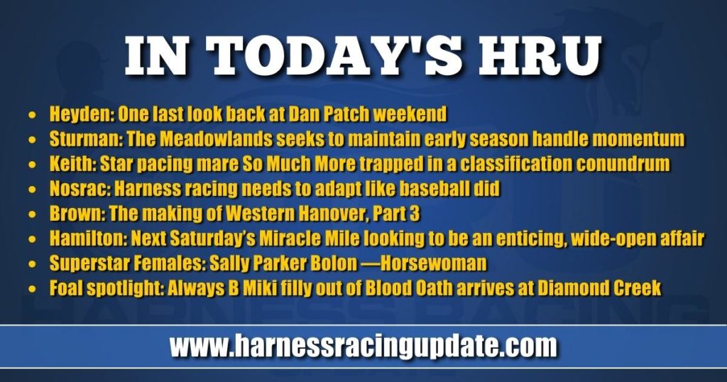 Star pacing mare So Much More trapped in a classification conundrum Star pacing mare So Much More trapped in a classification conundrum