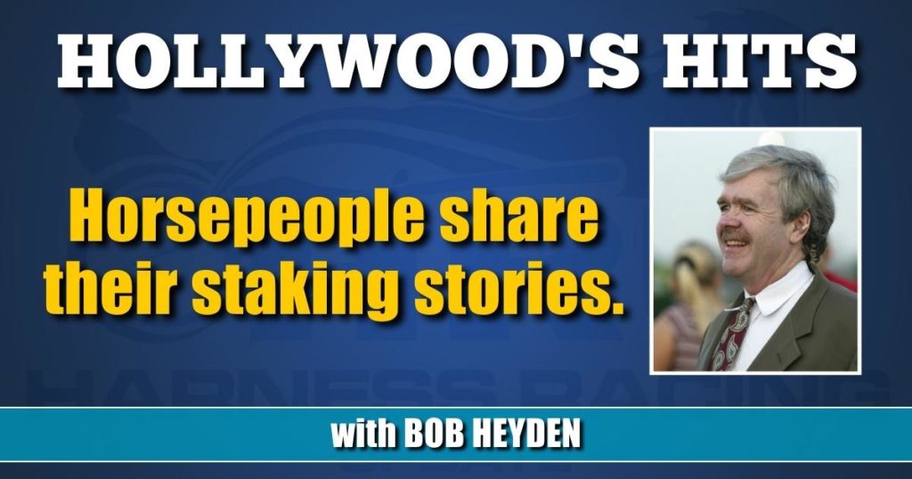 Horsepeople share their staking stories.