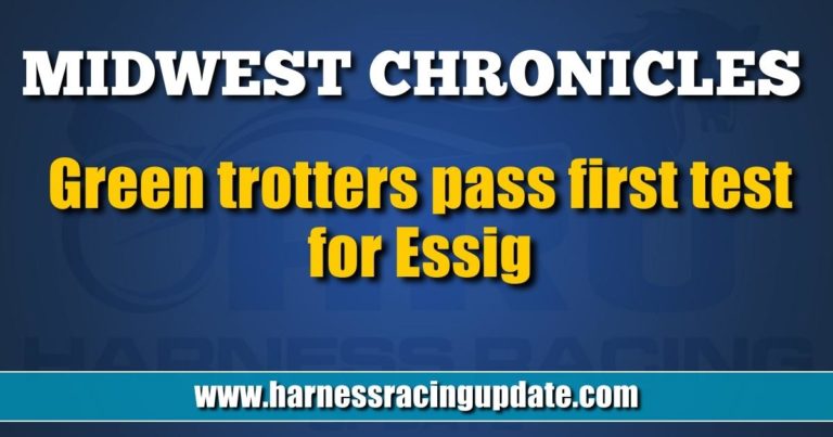 Green trotters pass first test for Essig
