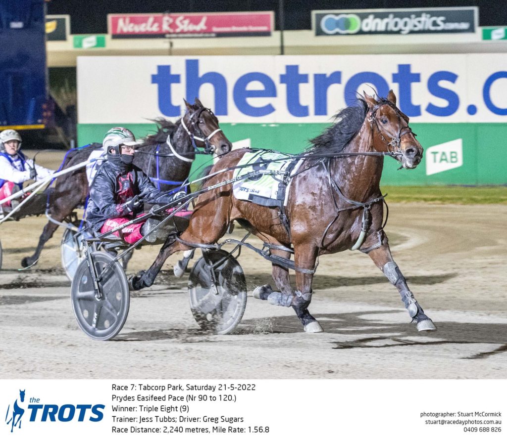 Champion driver Chris Alford is a competitive beast Harness Racing Update