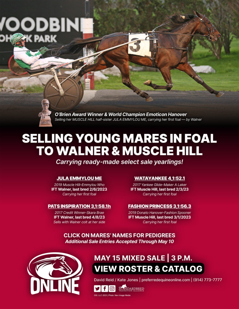 Gural: USTA members need to determine path forward – Harness Racing Update