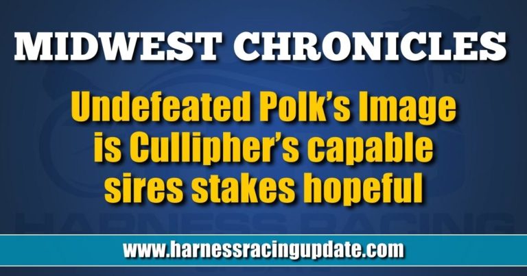 Undefeated Polk’s Image is Cullipher’s capable sires stakes hopeful