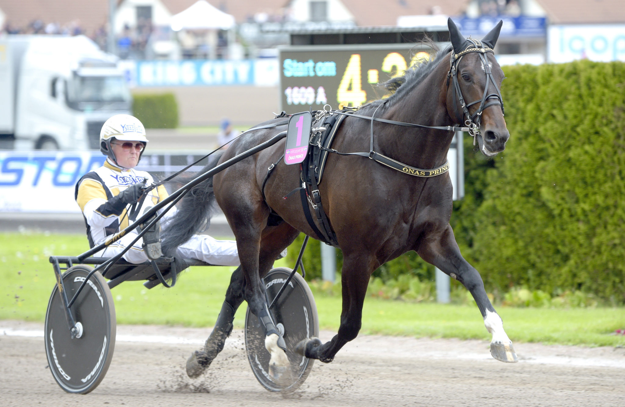 Copenhagen Cup the perfect Elitloppet preparation for Önas Prince ...