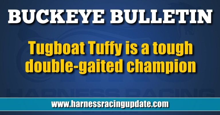 Tugboat Tuffy is a tough double-gaited champion