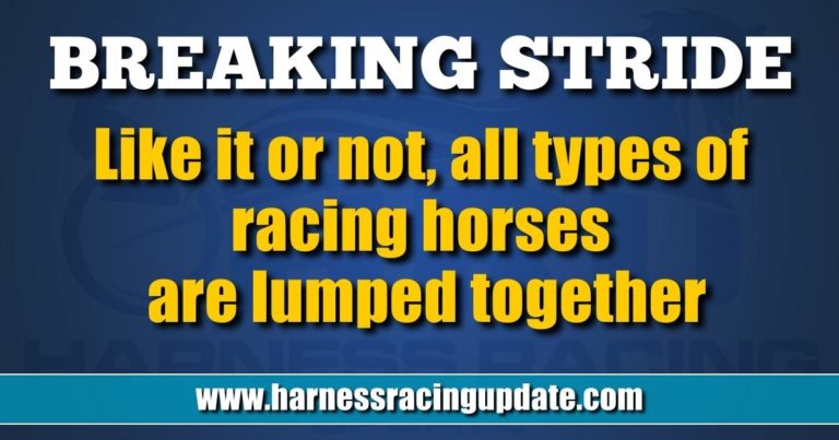 Like it or not, all types of racing horses are lumped together
