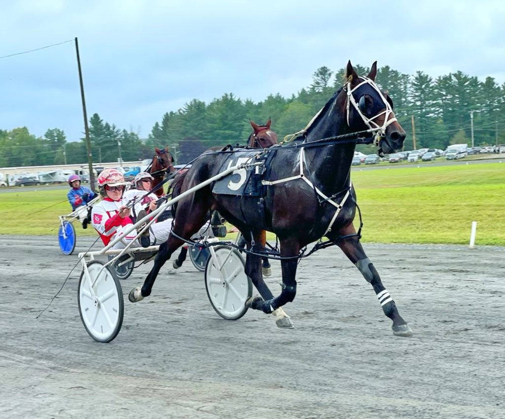 Winter is coming - Harness Racing Update