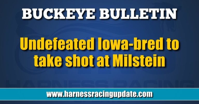 Undefeated Iowa-bred to take shot at Milstein
