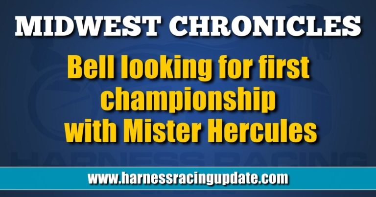 Bell looking for first championship with Mister Hercules