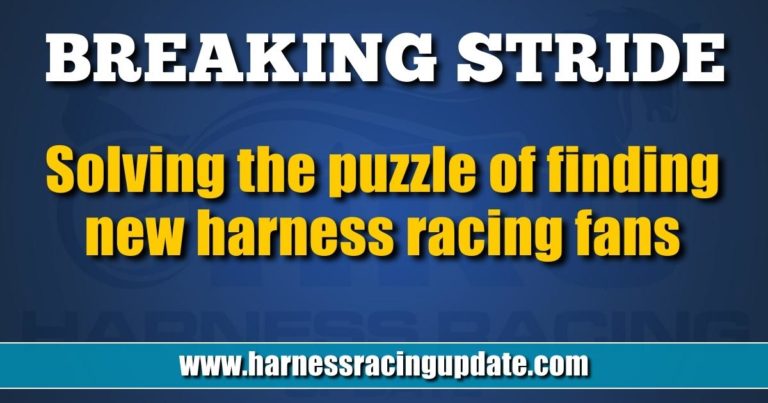 Solving the puzzle of finding new harness racing fans