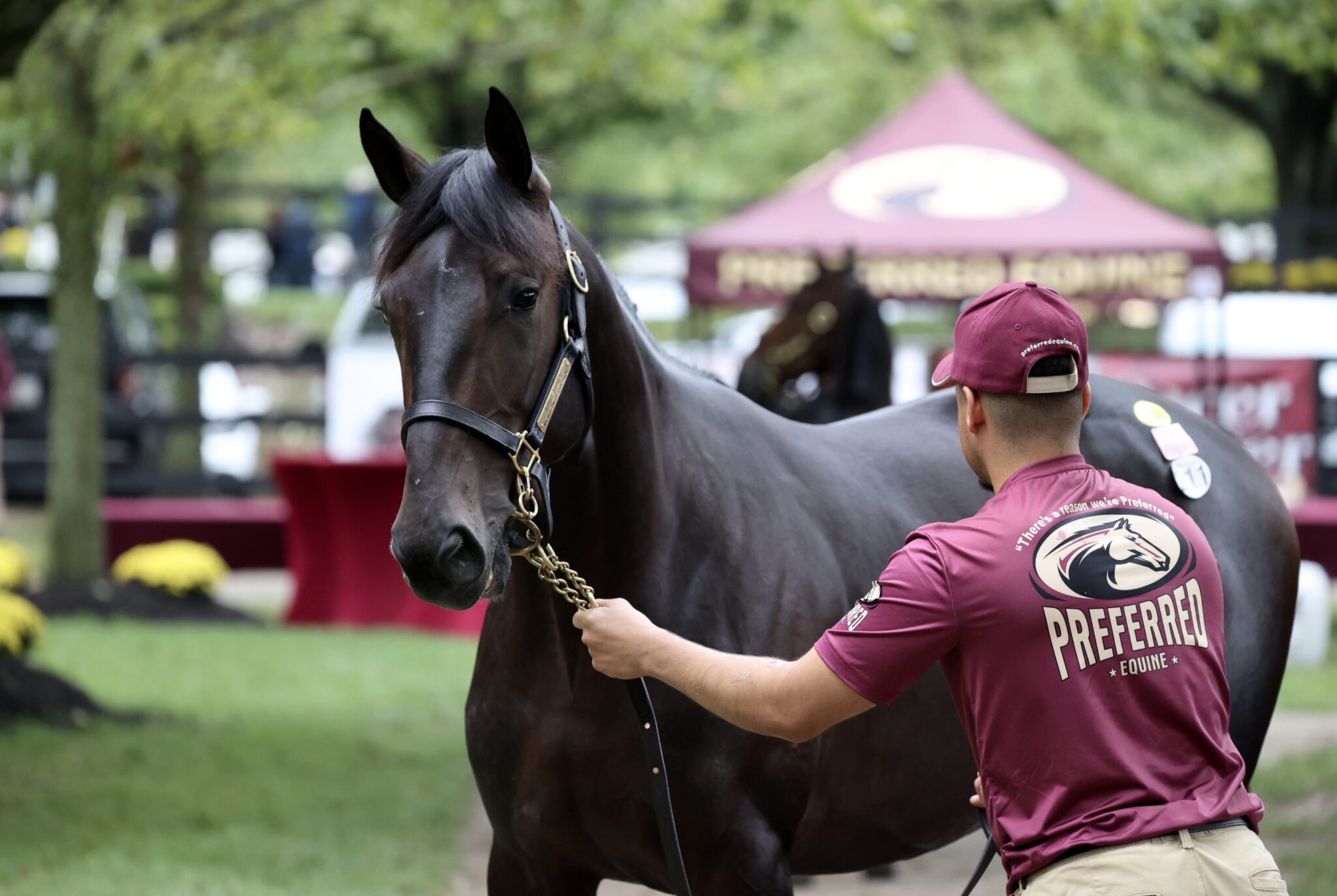 Lexington sale concludes with secondbest gross and average in history