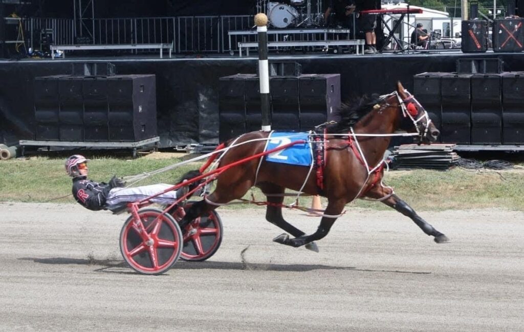 Braiden Rhoades is on the road to success - Harness Racing Update