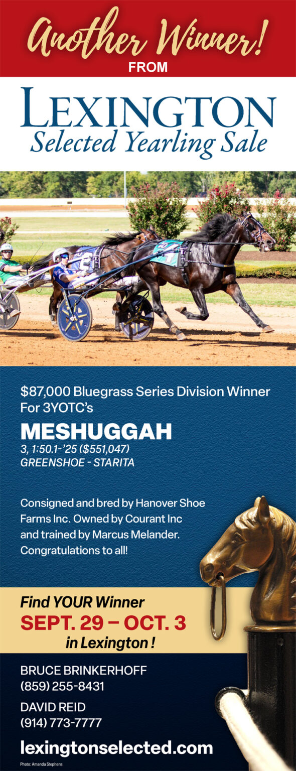 Breaking down the pacing yearlings being offered at the Lexington