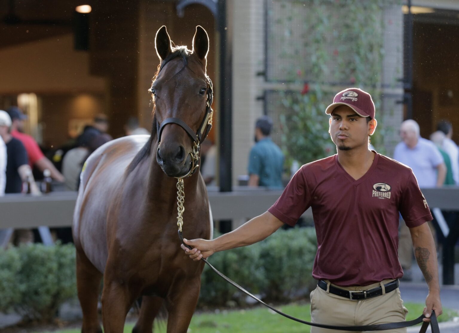 Breaking down the trotting yearlings being offered at the Lexington