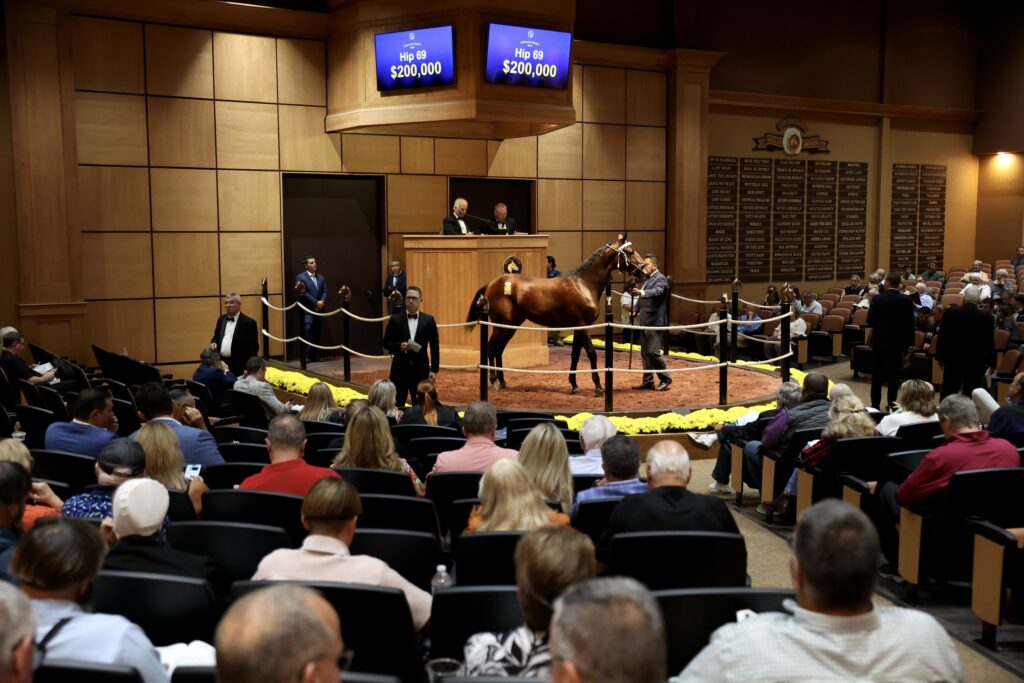 Breaking down the trotting yearlings being offered at the Lexington