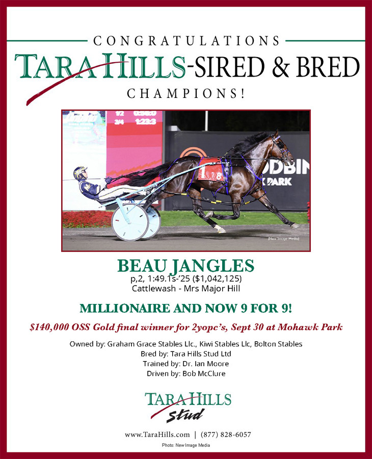 Tara Hills Stud stallions sit atop OSS leaderboard - Harness Racing Update
