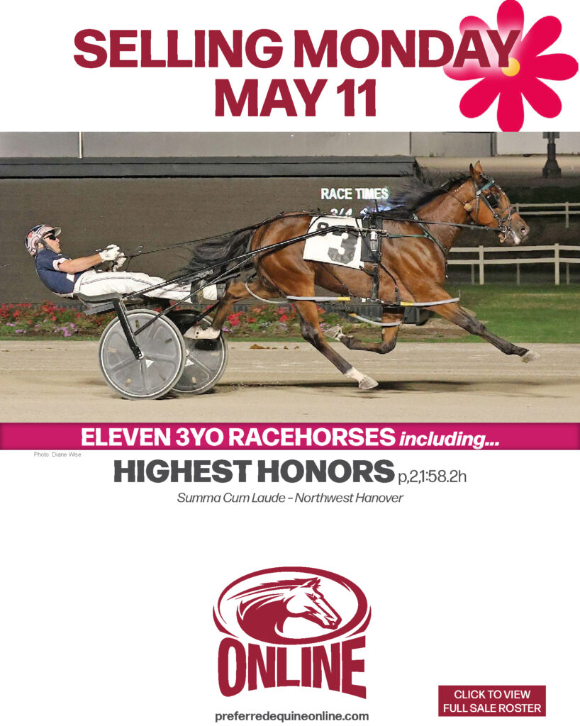 Beau is (almost) back - Harness Racing Update
