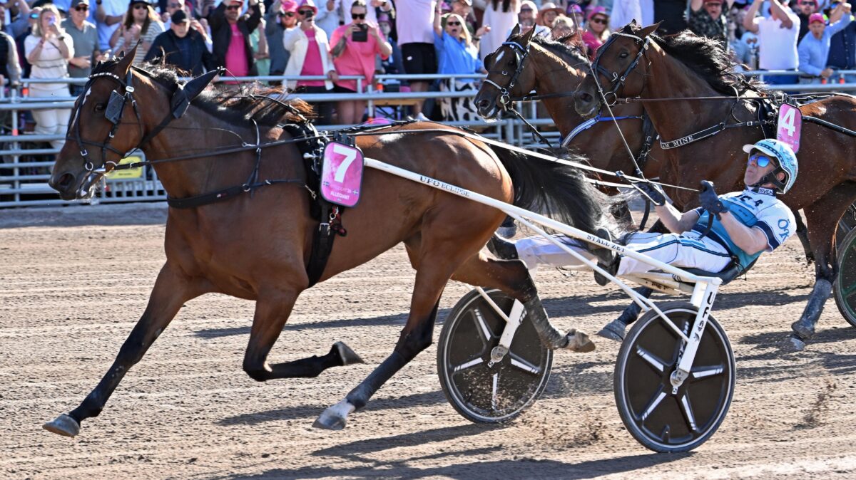 U.S.-bred Allegiant smashes world record with stirring 1:48 Elitloppet victory - Harness Racing Update